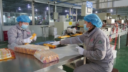 砥礪十年·向新出發(fā) 在霍爾果斯與世界對(duì)話食品互聯(lián)網(wǎng)銷售