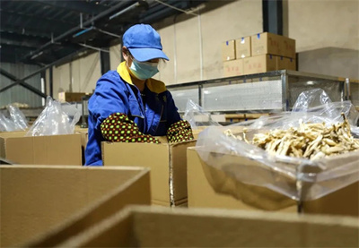 玉屏 市場(chǎng)需求旺，菌棒生產(chǎn)忙，食品互聯(lián)網(wǎng)銷售助農(nóng)增收